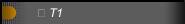  T1