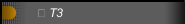  T3